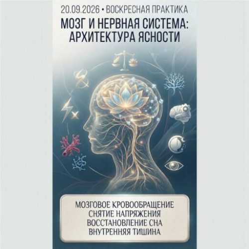 ВОСКРЕСНОЕ ВОССТАНОВЛЕНИЕ «МОЗГ И НЕРВНАЯ СИСТЕМА: АРХИТЕКТУРА ЯСНОСТИ»